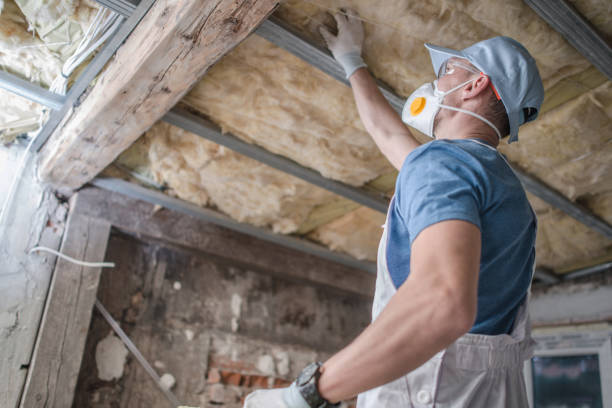 Types of Insulation We Offer in Callender, CA