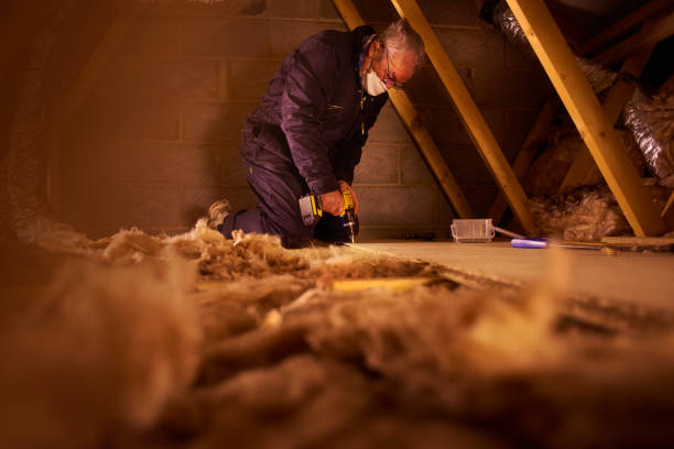 Best Geographic-Specific Insulation Services in Llender, CA