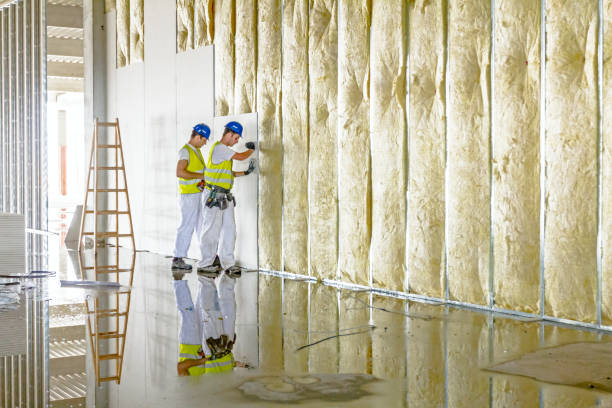 Best Eco-Friendly Insulation in Llender, CA